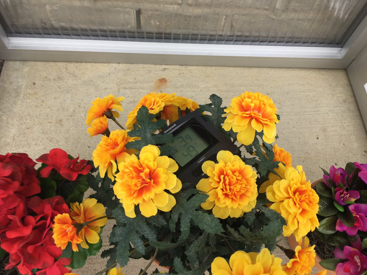 Sunshine Door tweet media