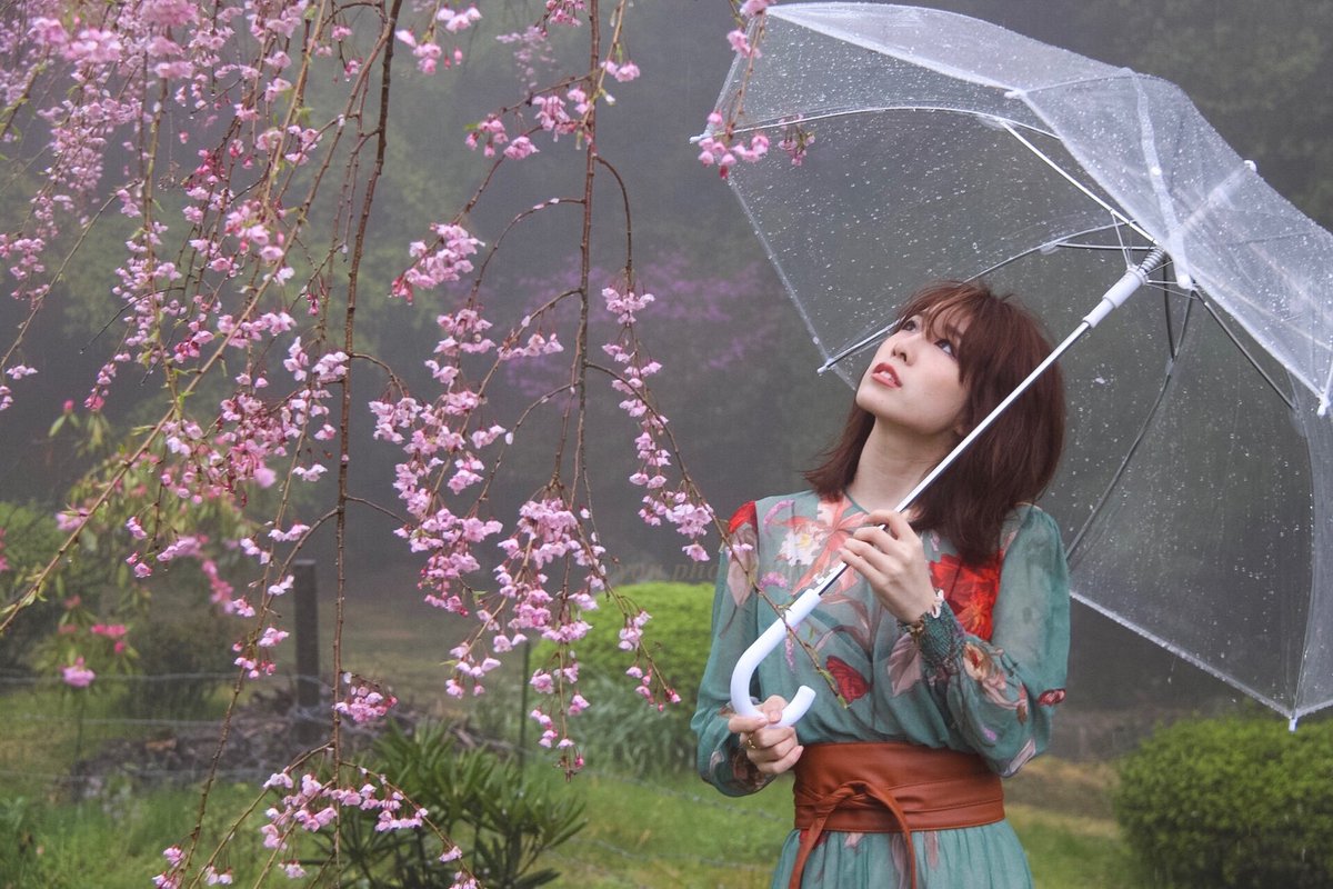 瑛 ヨウ On Twitter 垂れ桜雨撮影 01 大雨の中 桜ポートレート Model えりなさん 山の上にあるので 深い霧の中での撮影 雰囲気のある写真に 美祢 南原寺 垂れ桜 桜