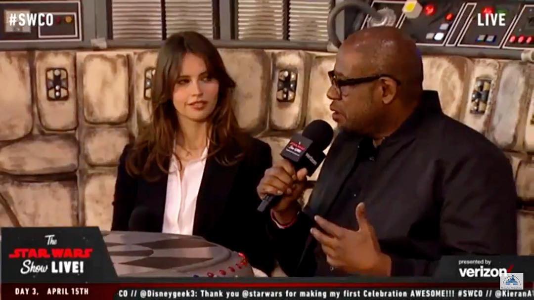 BadassJynErso's tweet photo. #DailyFelicity #FelicityJones @DarkSide_Rey @BlackLordVader @wildwaterstu @IAmJynErso @jedisexpest @StarWarsGirl06 @Jyn_Erso_Rogue @JynErso1 https://t.co/A1fkYRSal4
