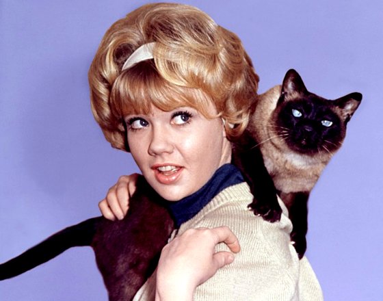 Happy birthday to Hayley Mills 