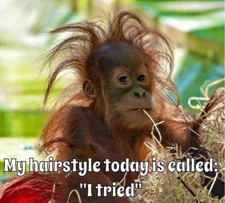 Mary Black (@funnymaryblack) on Twitter photo 