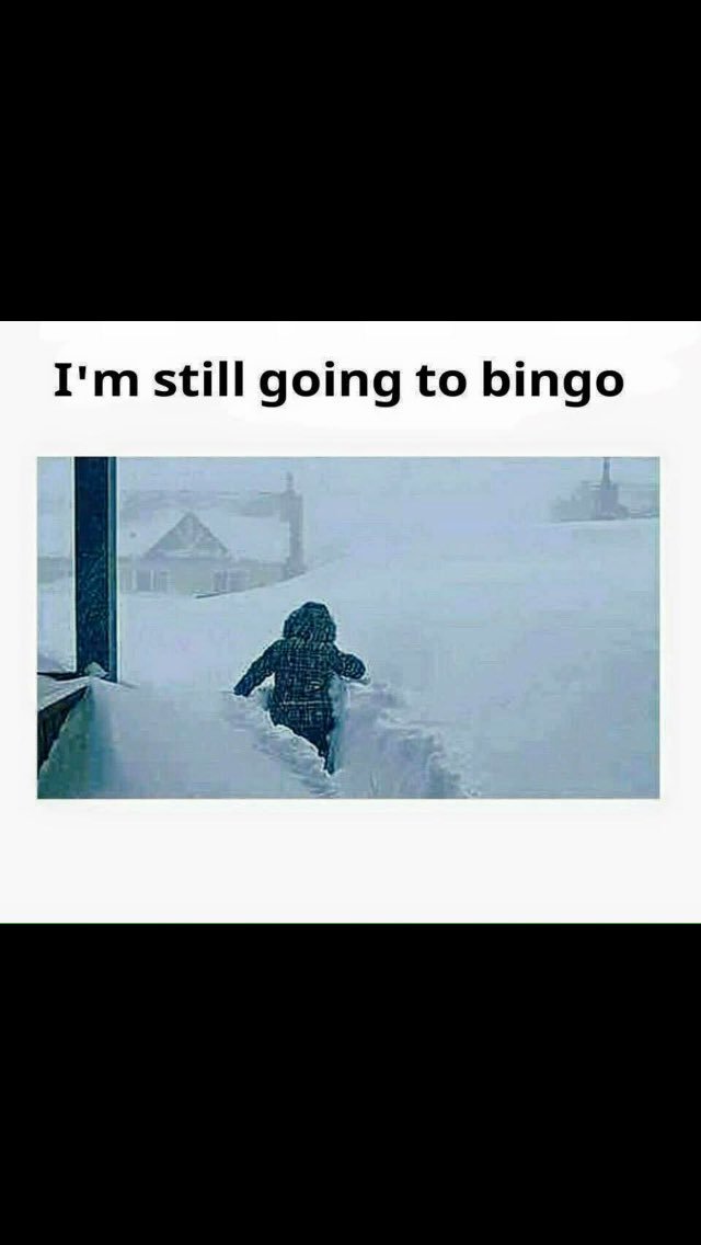 bernice25beauty's tweet photo. This is for my mom lol #addictedtobingo https://t.co/i5dWp3BHrh