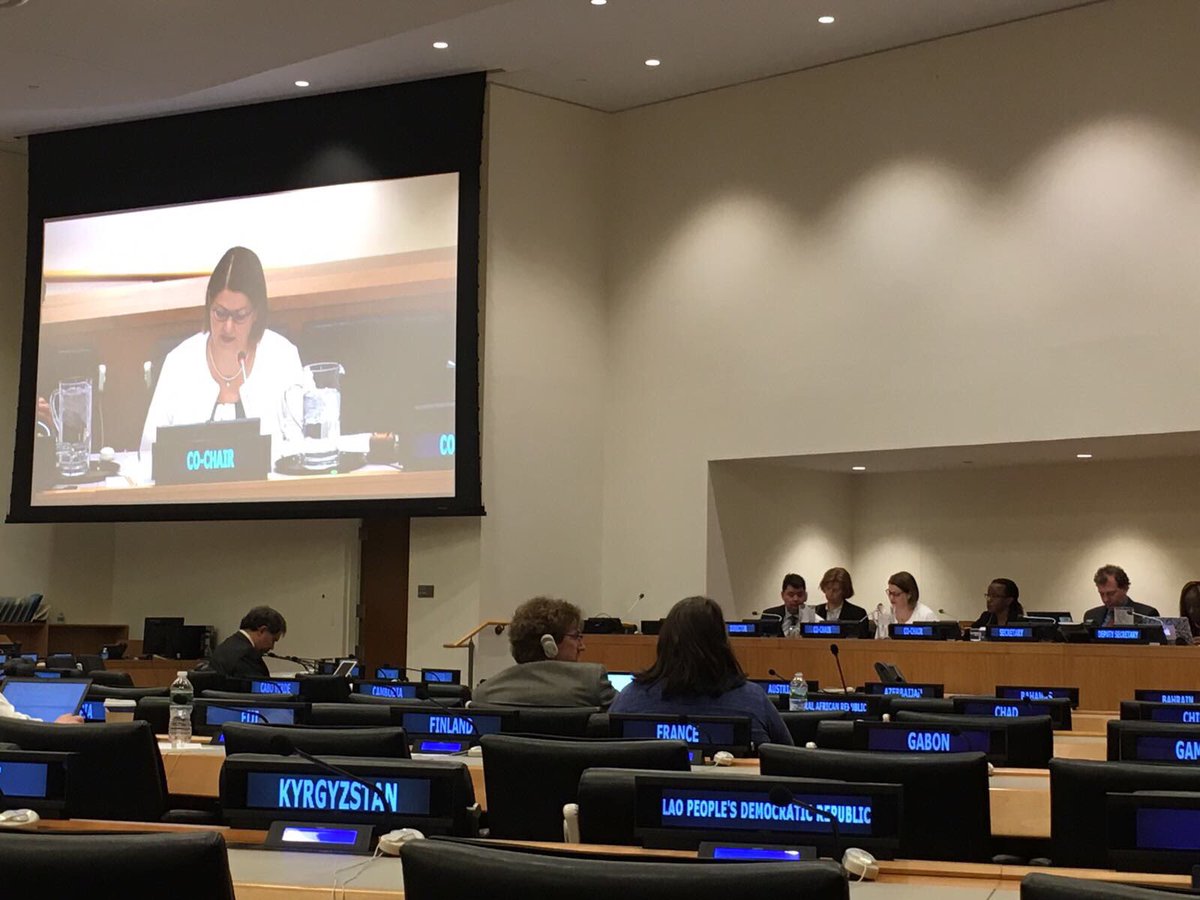 NZUN's tweet image. #RegularProcess considering #WorldOceanAssessment technical abstracts on #agenda2030 #BBNJ &amp;amp; #climatechange #Oceans #SaveOurOcean