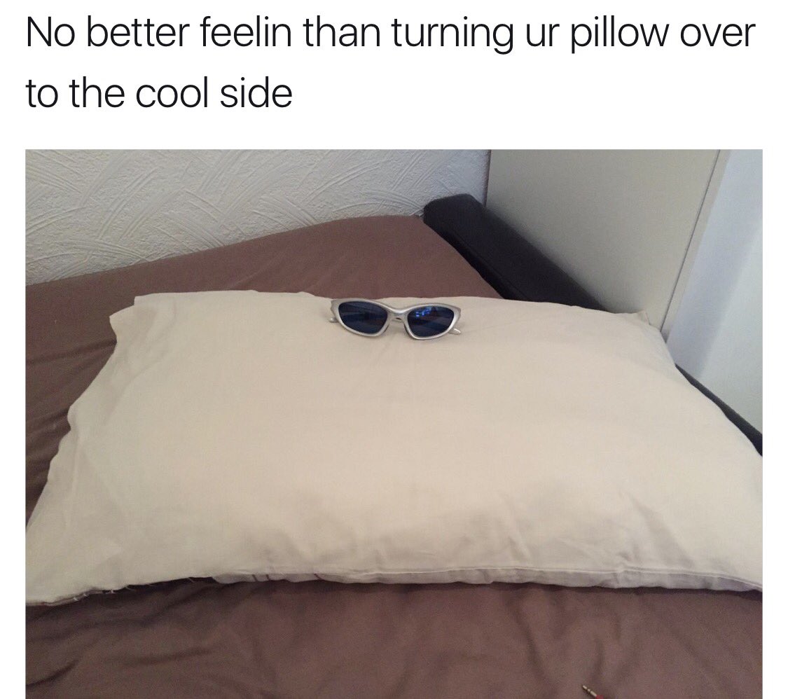 memes tweet picture