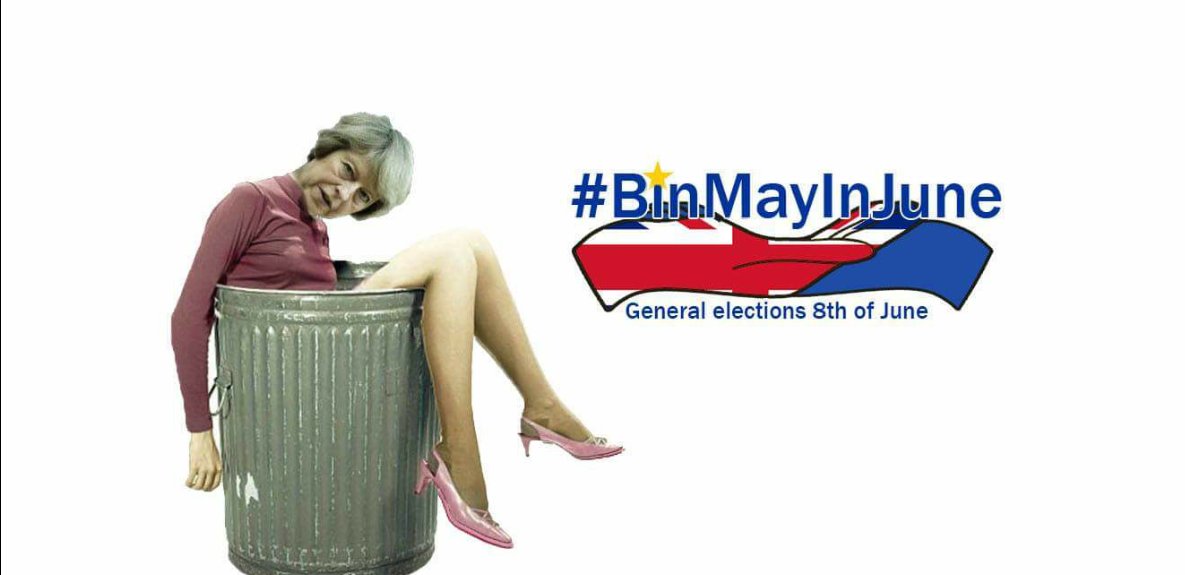MaidTime's tweet photo. @mikegalsworthy #BinMayInJune #TacticalVoting https://t.co/OI1620O8H7