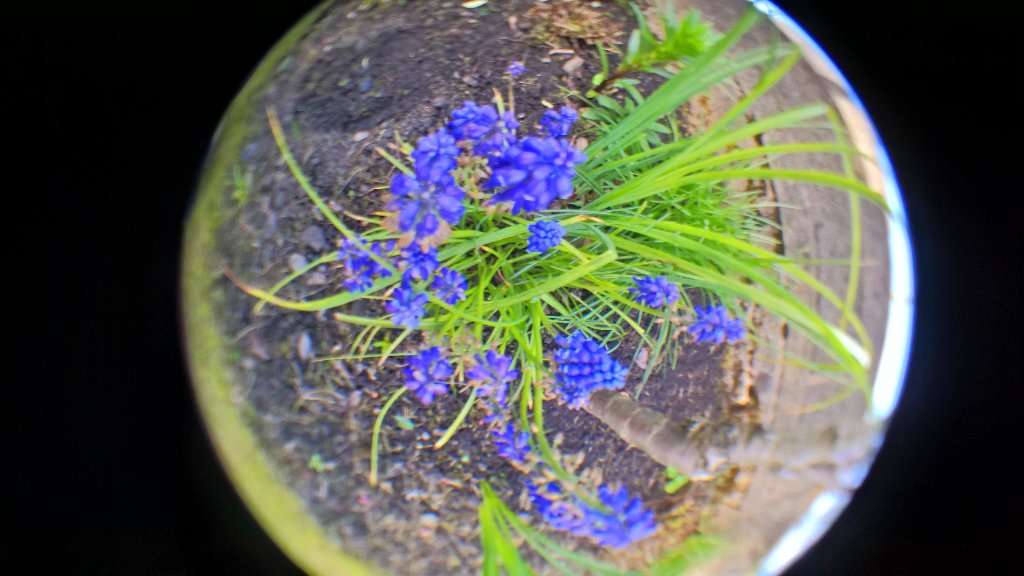 NixPics's tweet photo. Garden bubbles 😄 🏡#Nokia930 https://t.co/jSmExGO0zg