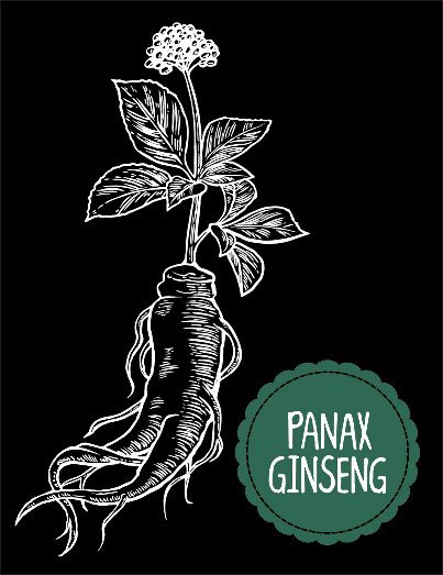 There are many benefits to taking #Korenaredginseng. It is proven to deliver positive benefits to the body and mind. root9ginseng.com/about-red-gins…