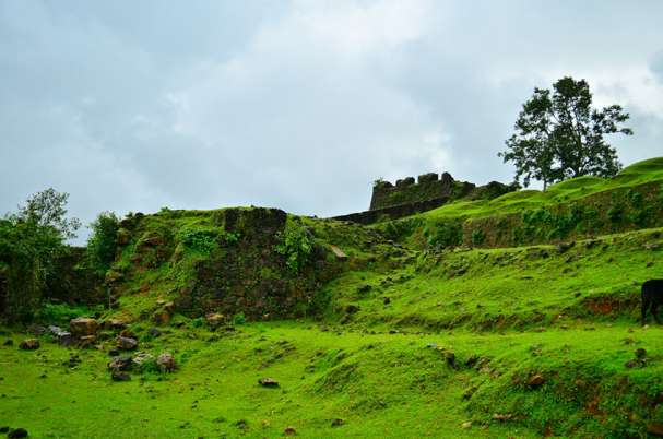 mathrubhumieng's tweet photo. Are you on your way to #Mookambika? Then don’t miss #NagaraFort!
https://t.co/Q8X8rV0LXM
@Visit_Karnataka #Karnataka #Tourism #travel https://t.co/IkNv5flu8Y