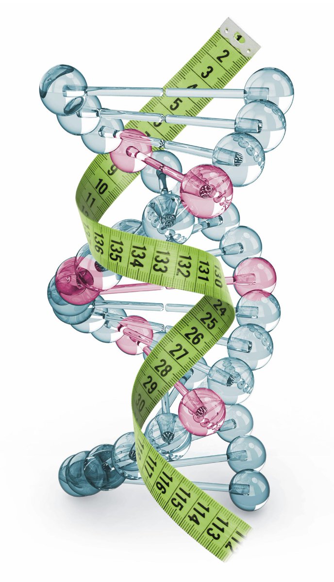 Genoxage's tweet photo. @Genoxage ¿Has hecho dietas que no te funcionan? Descubre #nutregenia https://t.co/p90EQJZ77h #dieta #genetica #adn #salud #obesidad https://t.co/sYFbdK5niX