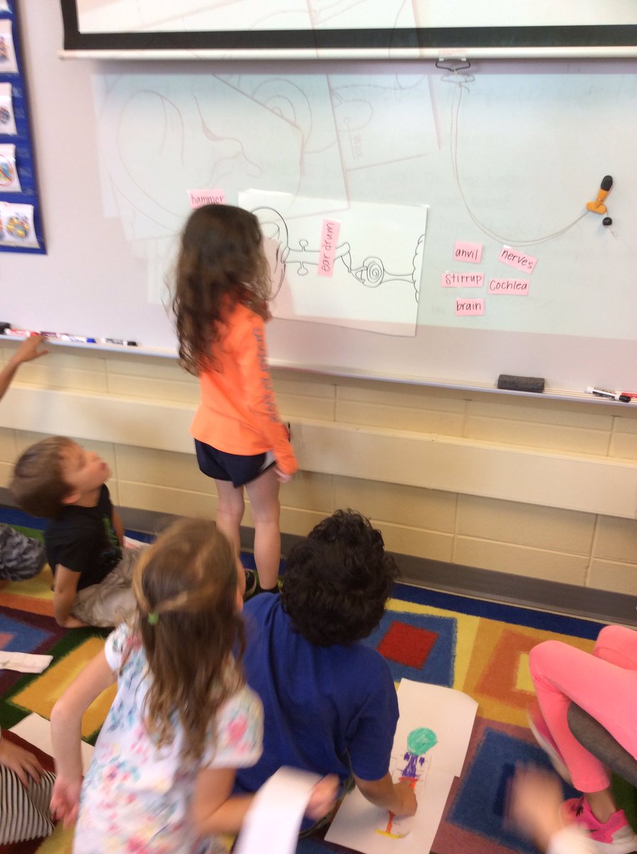 VlahakisClass's tweet photo. Playing pin the part on the ear! #cherokeescience #cherokeeinspires https://t.co/3WhXcvP4Ck
