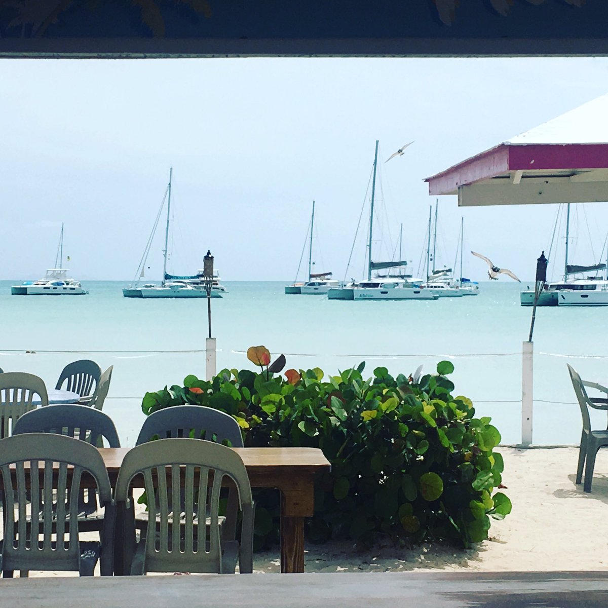 RSCAPE_Yacht's tweet photo. Great sail to #anegada today love hanging out with #bviviews like this https://t.co/9bZltV0BkF