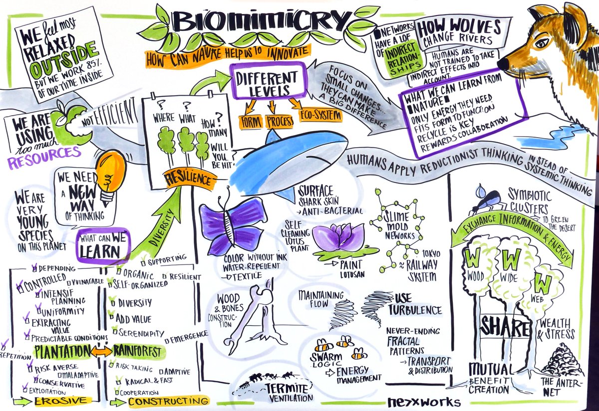 L_gori's tweet photo. Very cool visual by @AxelleVQ from our @nexxworks bootcamp session in Utrecht on "Innovation Inspired by Nature" #biomimicry @BiomimicryInst https://t.co/evBAw3GmQY