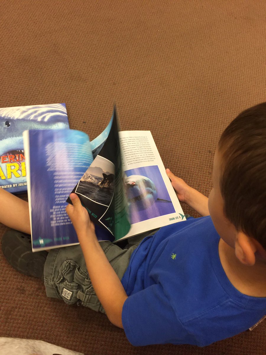 ONTSpecialNeeds tweet media