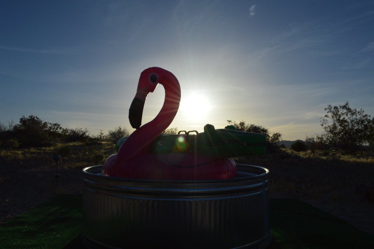 lunarlinds's tweet photo. Missing the desert sun. #VIPcoachella https://t.co/6PjAFgPMcy