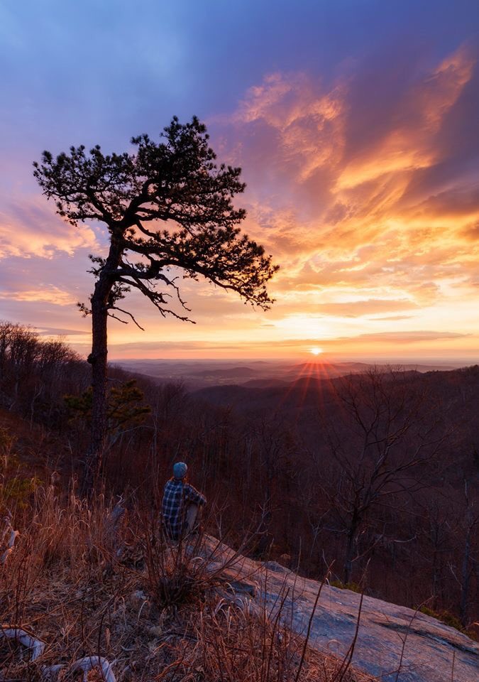 A person in a plaid shirt and a hat sits on a rock as seen through dead grass watching the sun over the ridge