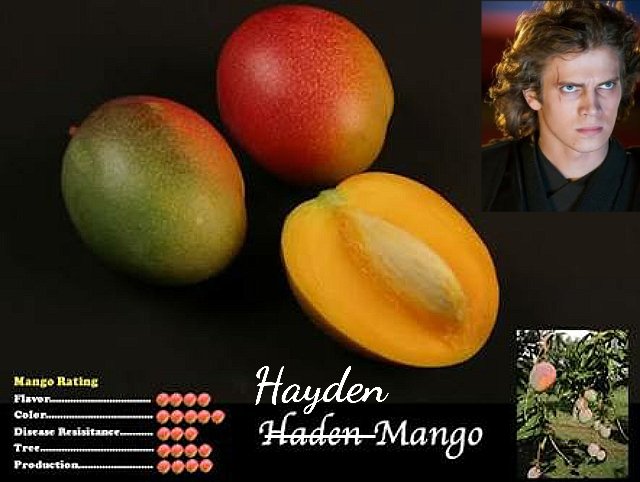  Happy Birthday Hayden Christensen You\re the forbidden fruit to Jedi Order forever. 