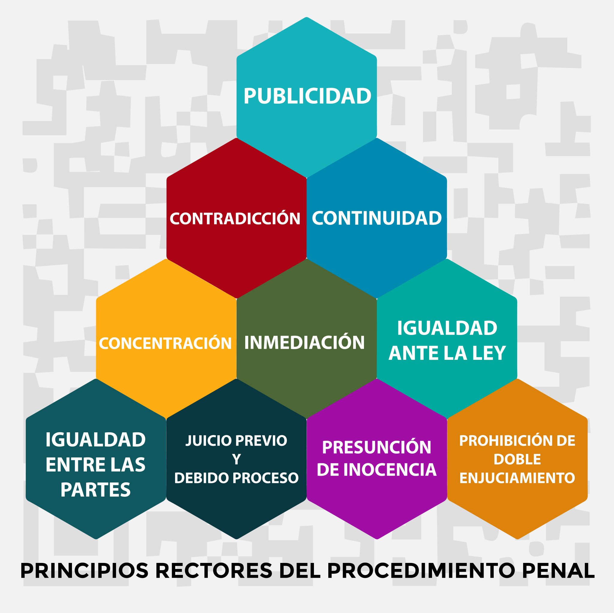 Principios Constitucionales Del Derecho Mapa Mental | Porn Sex Picture