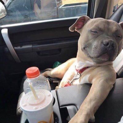 ☉Justin Credible☉ tweet media