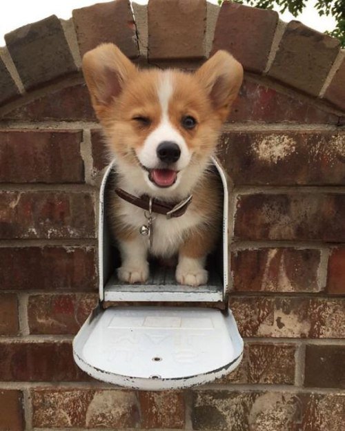 👻 xenia 🎃 on Twitter: "атя…