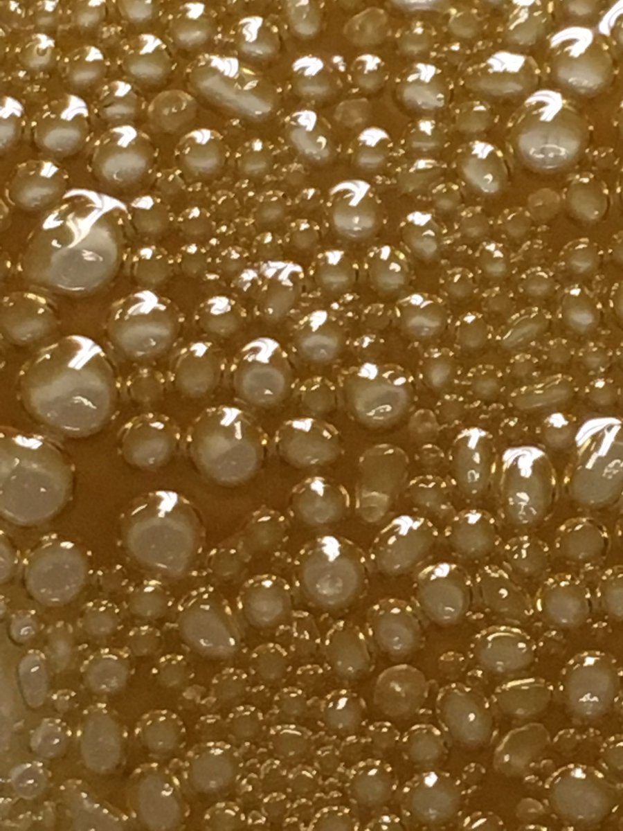 420LocalTime's tweet image. Shatter at its second stage