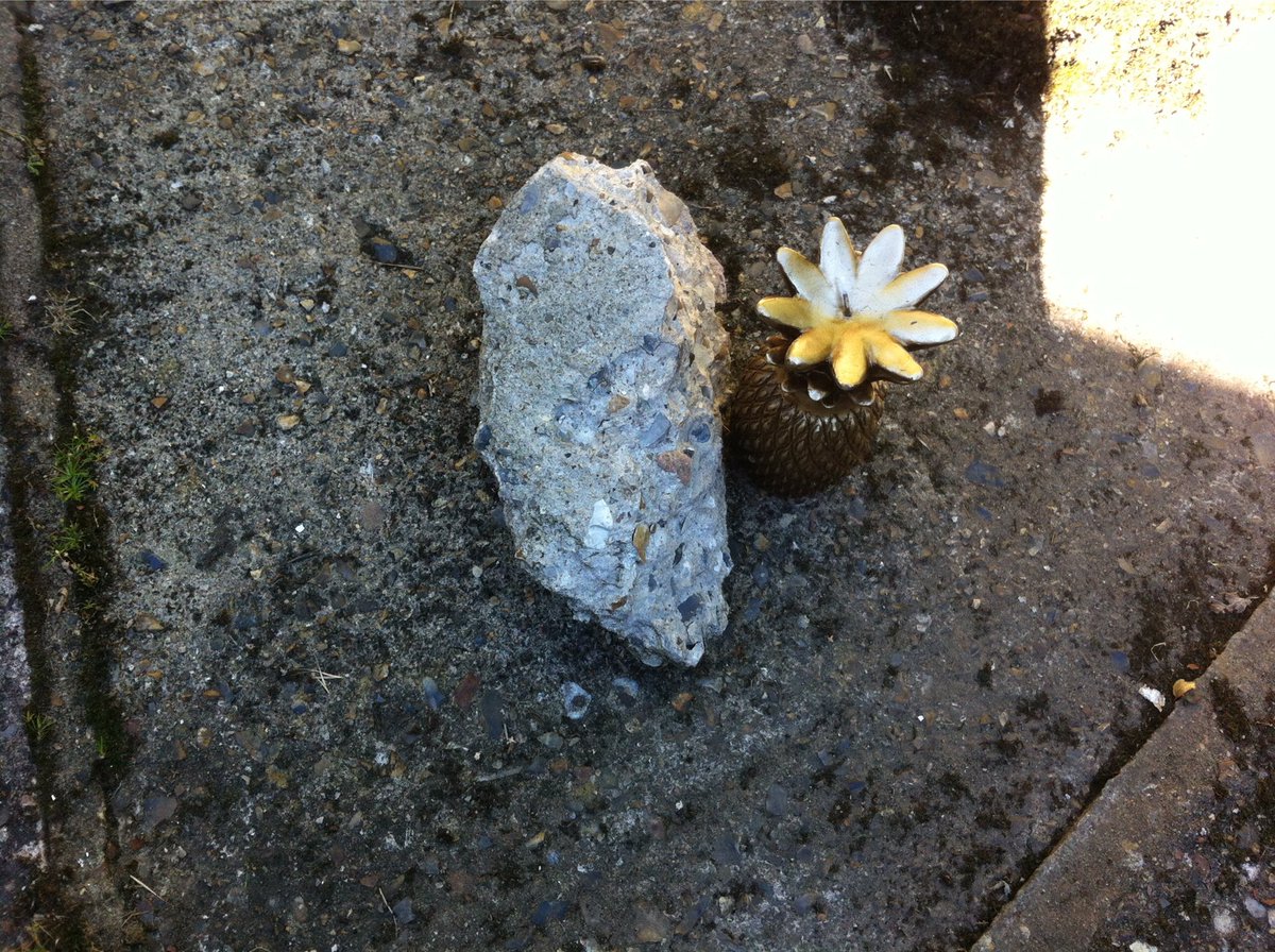 MatthewRubble's tweet photo. Exchanging objects and meaning @NUAresearch day #humaninterfaces https://t.co/f8M73pBAiq