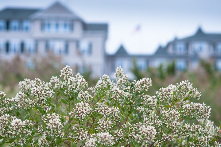 Bring the family to Martha's Vineyard during April School Vacation! harbor-view.com/discover/april… #edgartown #marthasvineyard