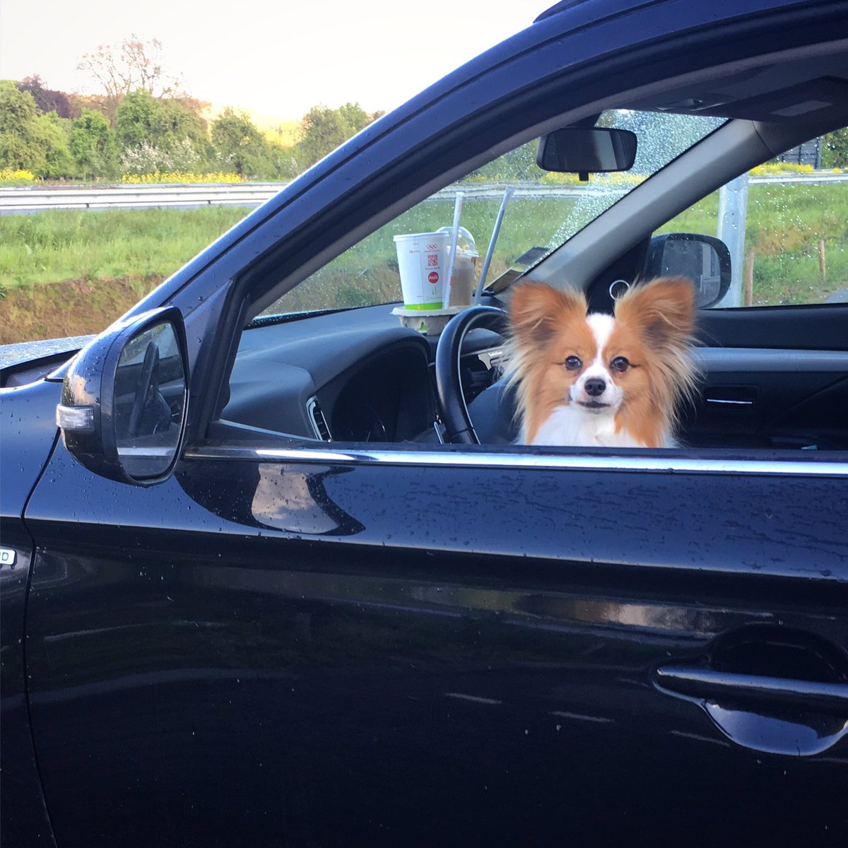 13 hr drive today. After 10 hrs, Dickie agreed to fastfood for dinner. He just wishes we had ordered him a 20 pcs nugget meal...