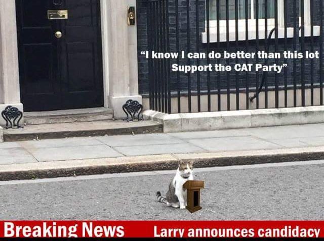 PROTECT ALL WILDLIFE tweet media