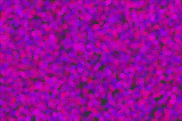 RunThisPlac3's tweet image. #TuesdayCoding