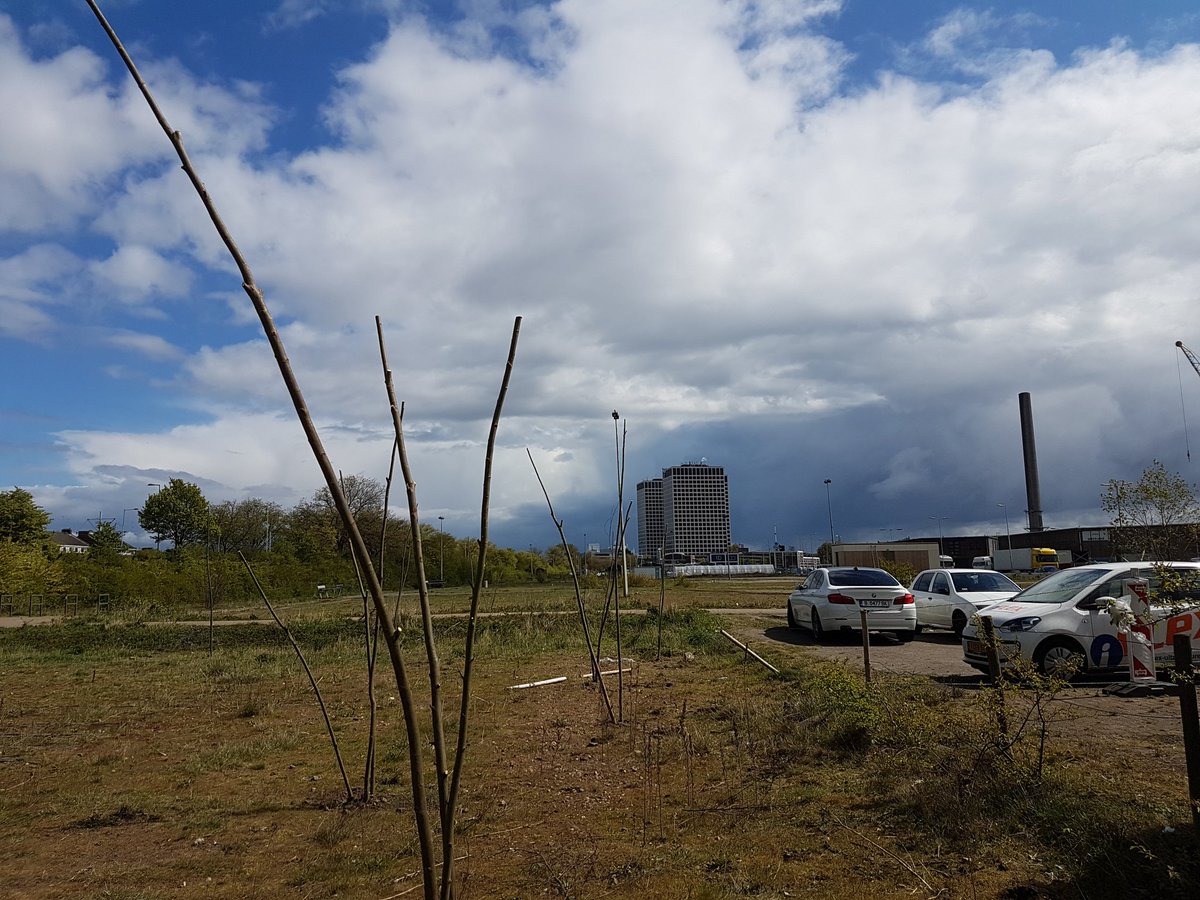 Eerste wilgentenen geplant <a href="/marconia010/">marconia</a>. Vergroening van het terrein is gestart. Met dank aan <a href="/UWbomen/">Boomverzorging 010</a>.   <a href="/Stadsbeheer010/">Stadsbeheer010</a> <a href="/WestPracticeRdm/">West Practice R'dam</a>