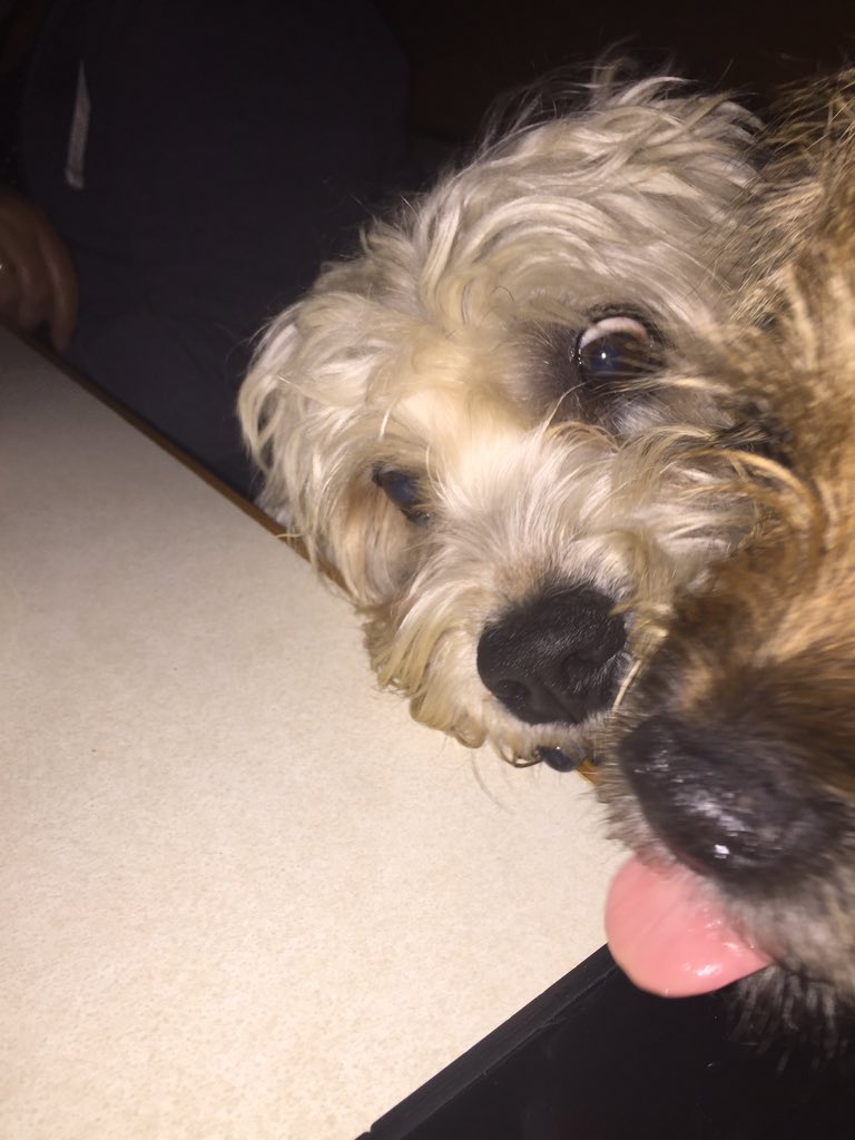 Cal_BT's tweet photo. Fred snaffled the blubree #lostout https://t.co/6NtsLK5986