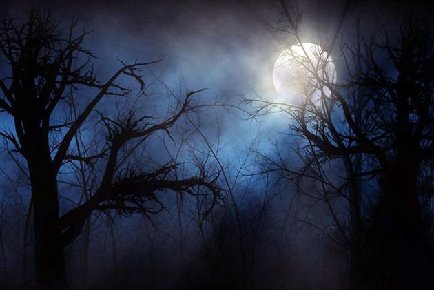 Trismich78's tweet photo. Check out my new started Pinterest board - Words Of Darkness.
#writing #scifiHorror #amwriting #flashfiction #kindle https://t.co/S8DR5v40tZ https://t.co/fWQN2a8zCS