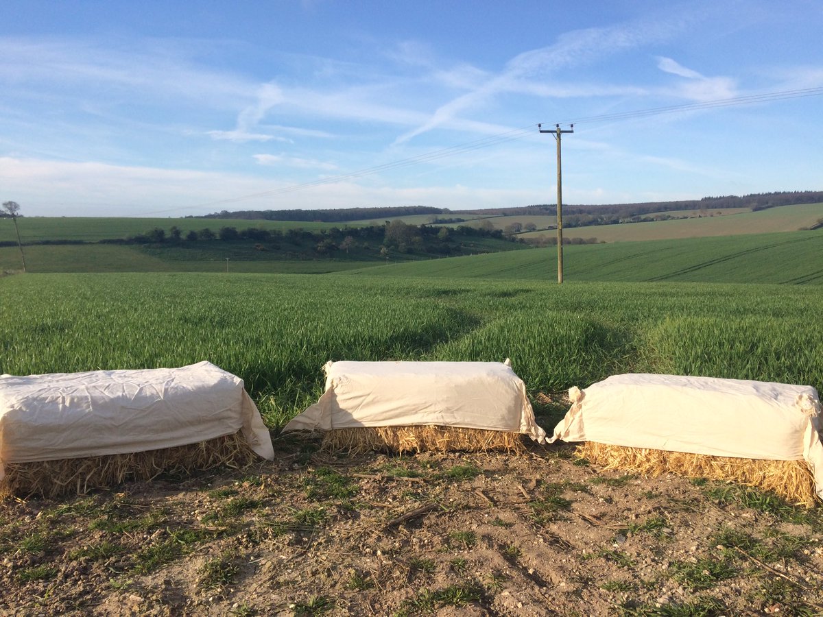 VinesFarmShop's tweet photo. Need extra seating at your party or function, how about hiring straw bales and cover? ☀️🥂🍻🎂🎪 https://t.co/4EvcBZ59Gq
