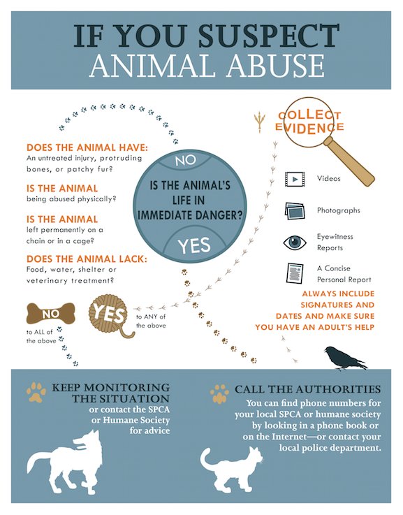 calbaughphil181's tweet photo. The more you know the more of an impact one can make #lawsforpaws https://t.co/PAla1DvkKi