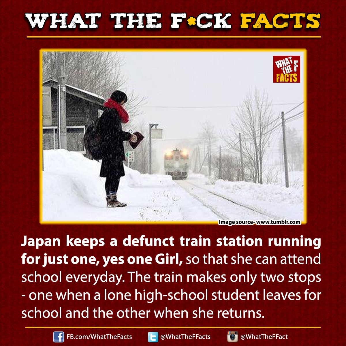 WhatTheFFacts's tweet photo. https://t.co/IPp6m7PYho