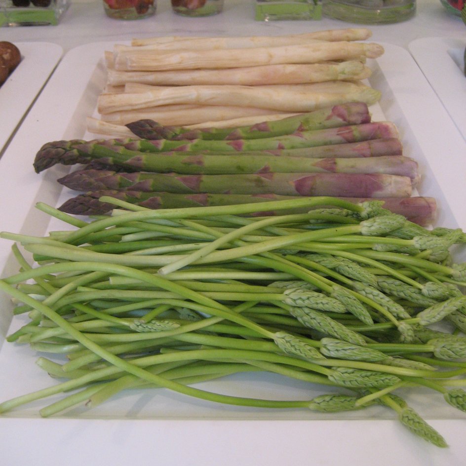 DailyVegetables's tweet photo. If you don't pluck asparagus early on, it matures as a large fern-like plant (females grow berries) #asparagus https://t.co/d2AzgN9pT1 https://t.co/QguI9cfMJm