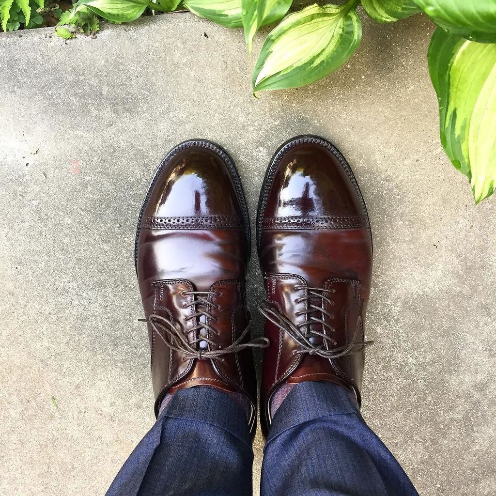 sthkzn's tweet photo. Alden
快晴です。この靴のはき心地はいまだに不思議な感じ。
#alden #cordovan #shoea #mensshoes #sotd #shoesoftheday #オールデン #紳士靴 #革靴 #コードバン https://t.co/ayKcAbjtfJ https://t.co/U72nblQJAk