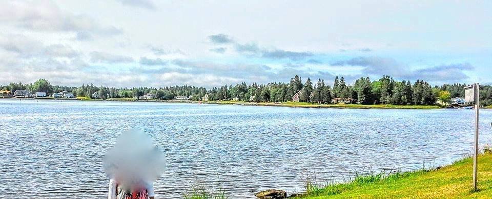 মাঝে মধ্যে অপমানিত হওয়া ভালো।
সারাজিবন অপমান করে যাবে আর তা ফেরত পাবে না। তা কি হয়।