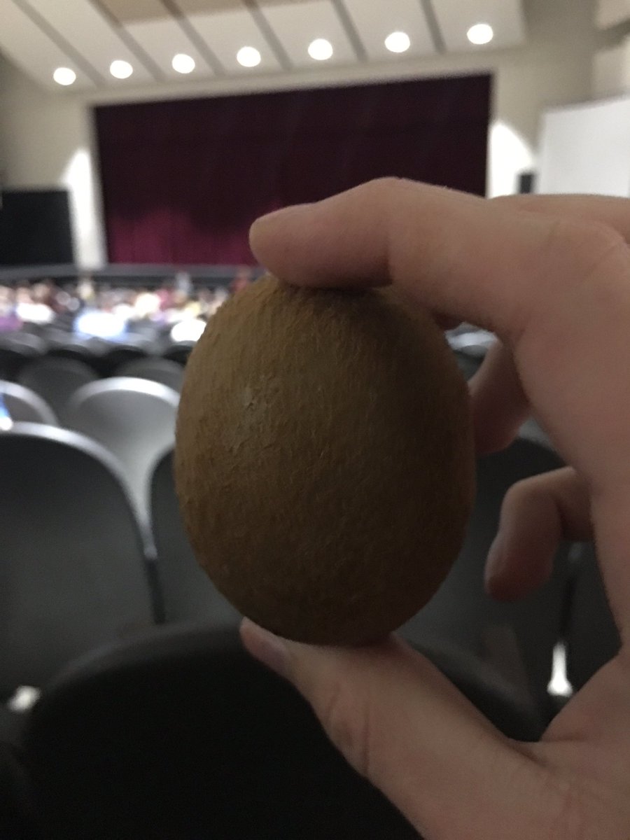 blue_aro's tweet photo. I went to a friend's dance recital yesterday with a kiwi that I found in the parking lot https://t.co/dB8Jfmsydw