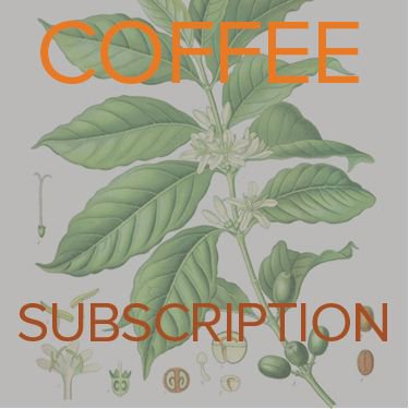 Paradigm Coffee tweet media