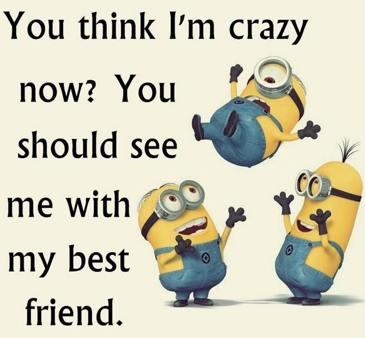 Mary Black (@funnymaryblack) on Twitter photo 