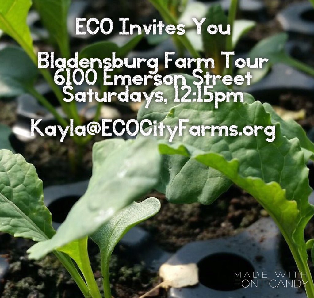 #urbanag is sprouting up in the #DMV at <a href="/ECOCityFarms/">ECO City Farms</a>.