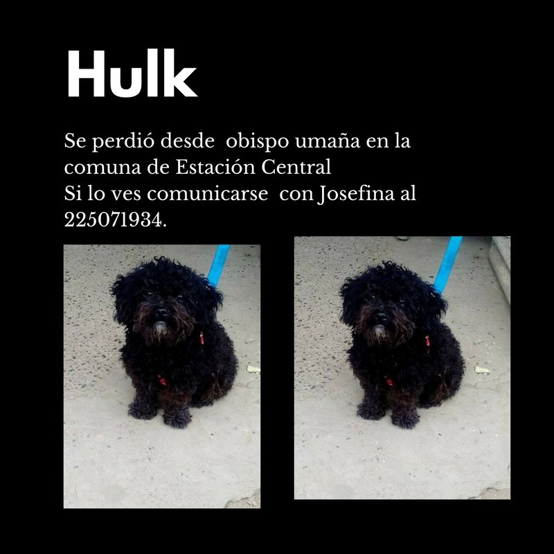 Hulk se perdió en la estación central