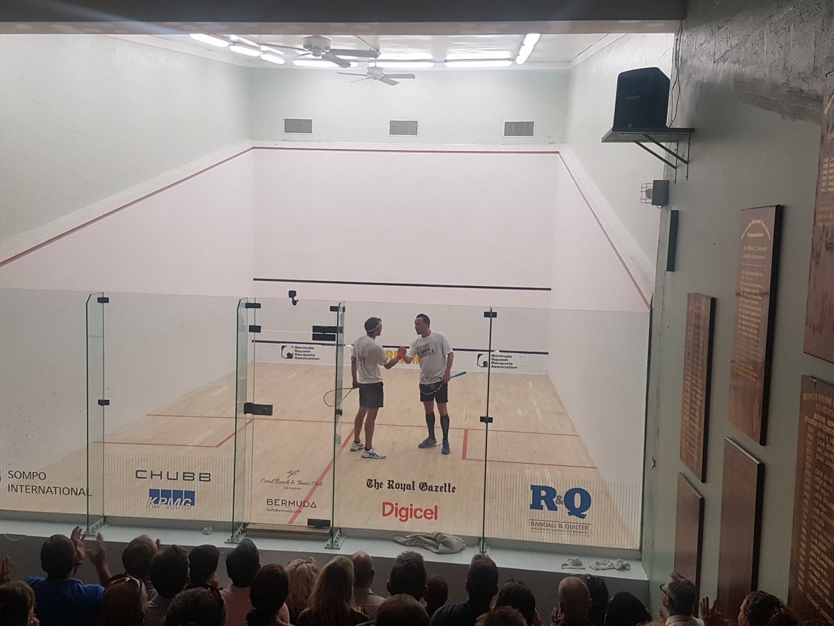 BermudaSquash tweet media