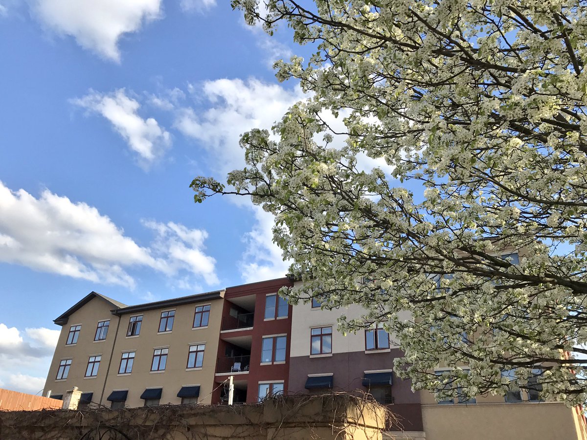 NCCNaperPlace's tweet photo. It's spring and Naper looks good! https://t.co/Xfbwbk6mcW