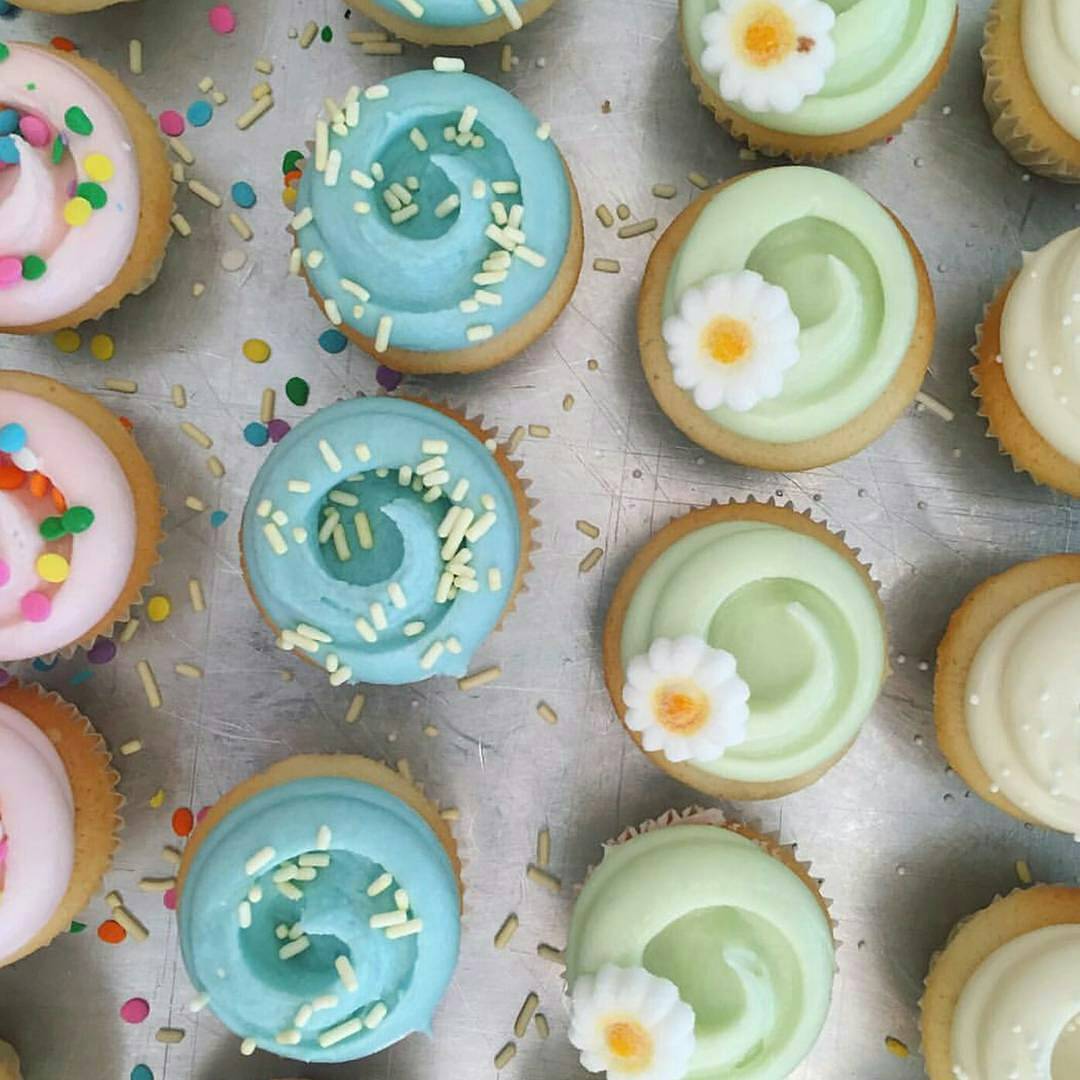 Cakes Bakes & Shakes (CakesBakeShakes) Twitter