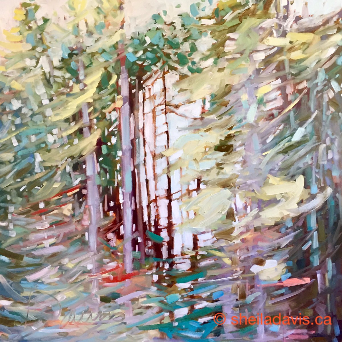 sdavisartist's tweet photo. A place of soft breezes and dancing light. I'll go 'to my Special Place' O/P 36x36 
#sheiladavispaintings #canadianart #canadianartist #art https://t.co/oG4FuegcDv