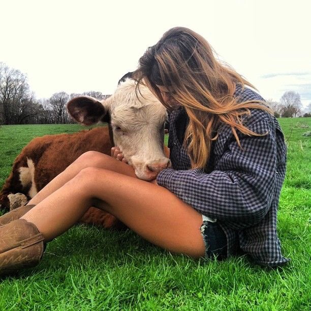 my_futurefamily's tweet photo. I want a cow 🐄 https://t.co/x7NyyEB0Kf