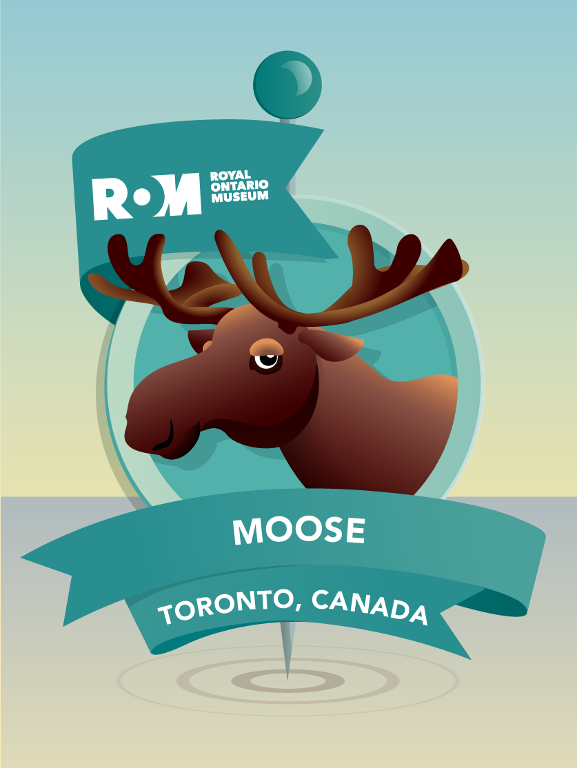 Keep an eye out on #EarthDay - Habitat is launching in #Canada with our friends at <a href="/ROMtoronto/">Royal Ontario Museum</a>. Including brand new Canadian pins!!! #moose