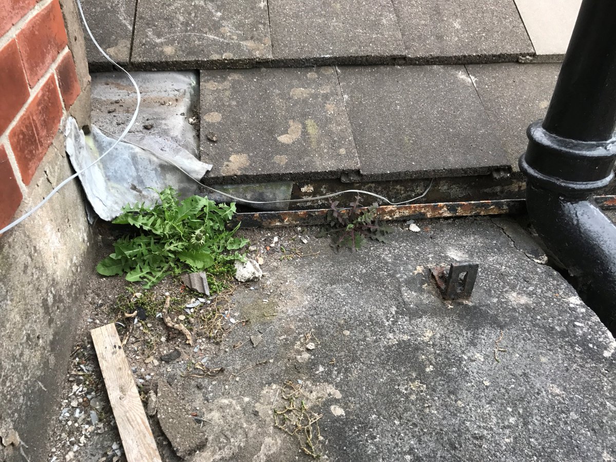 Dryabode's tweet image. #Roofsurveys #dampsurveys Damp and roof survey several sources of damp and water ingress diagnosed and schedule of works provided.